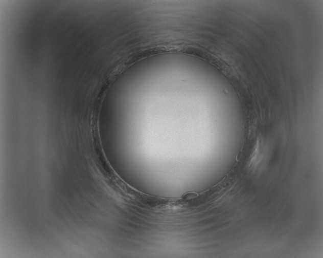 X0000073480647200607310852