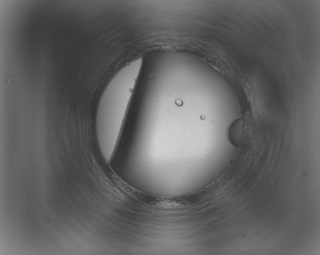X0000073480650200607310852