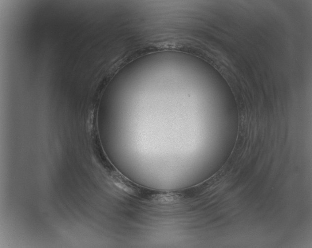 X0000073480652200607310852