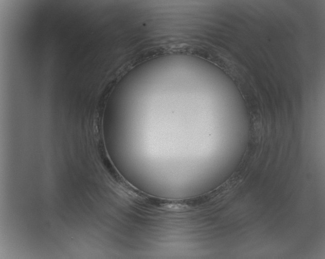 X0000073480654200607310852
