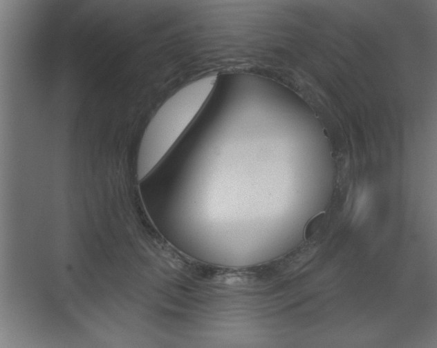 X0000073480655200607310852
