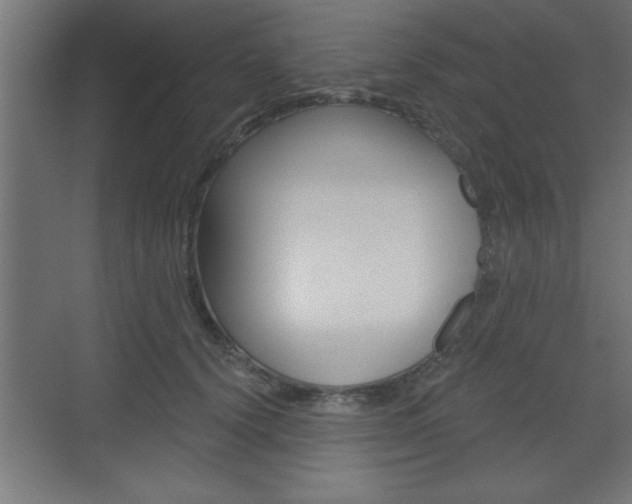 X0000073480656200607310852