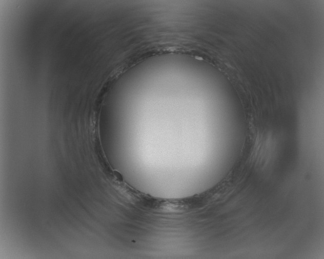 X0000073480657200607310852