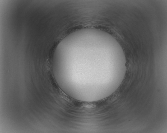 X0000073480659200607310852