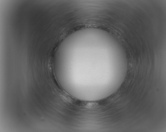 X0000073480663200607310852