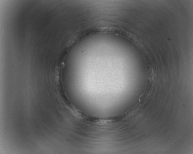 X0000073480664200607310852
