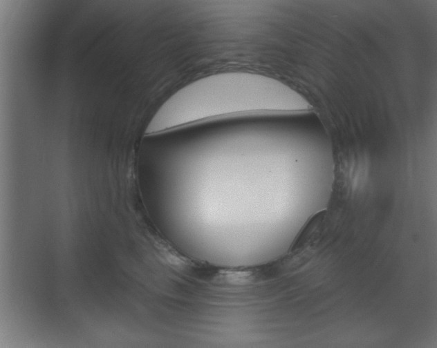 X0000073480665200607310852