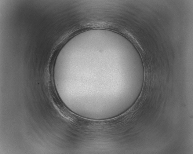 X0000073480674200607310852