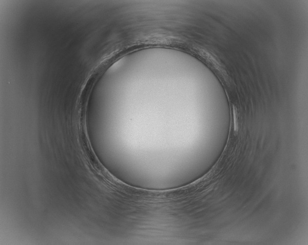 X0000073480675200607310852