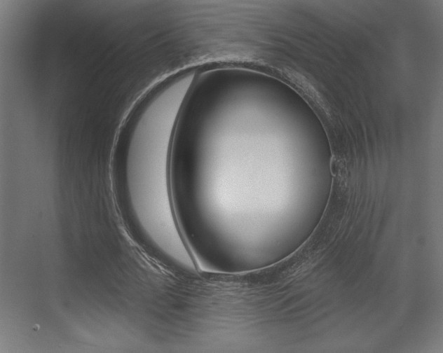 X0000073480676200607310852