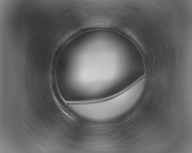 X0000073480677200607310852
