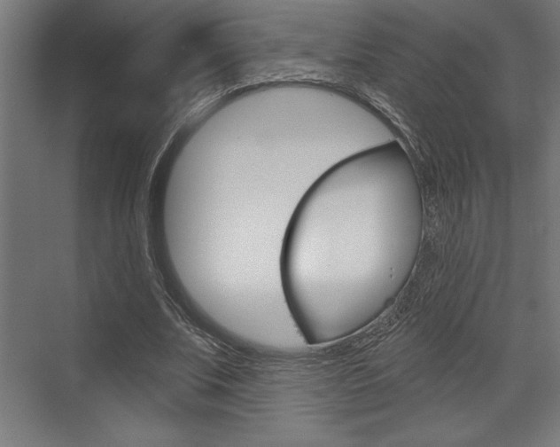 X0000073480679200607310851
