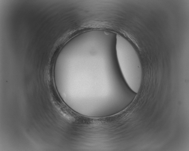 X0000073480682200607310851
