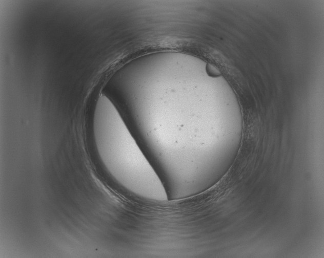 X0000073480683200607310851