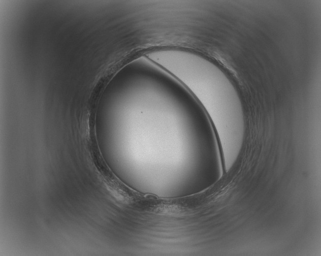 X0000073480685200607310851