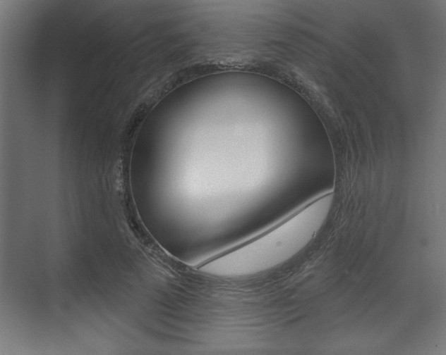 X0000073480689200607310851