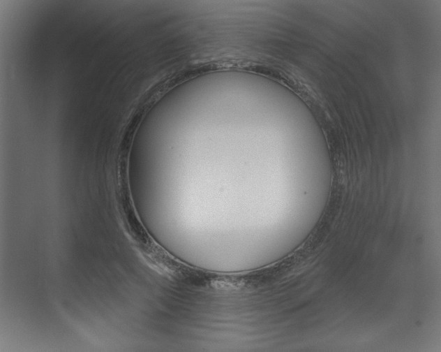X0000073480690200607310851