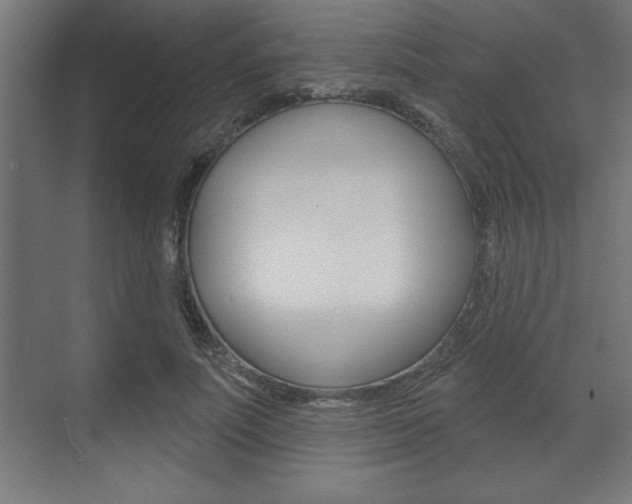 X0000073480691200607310851