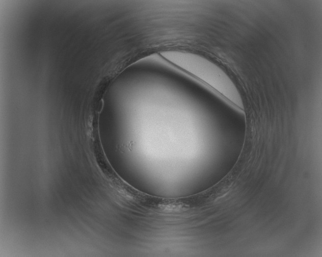 X0000073480693200607310851