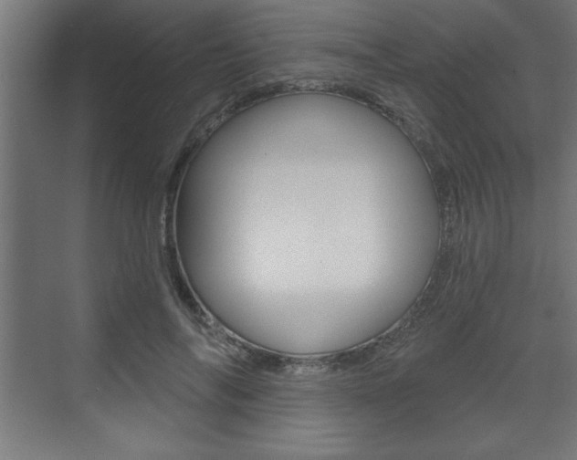 X0000073480694200607310851