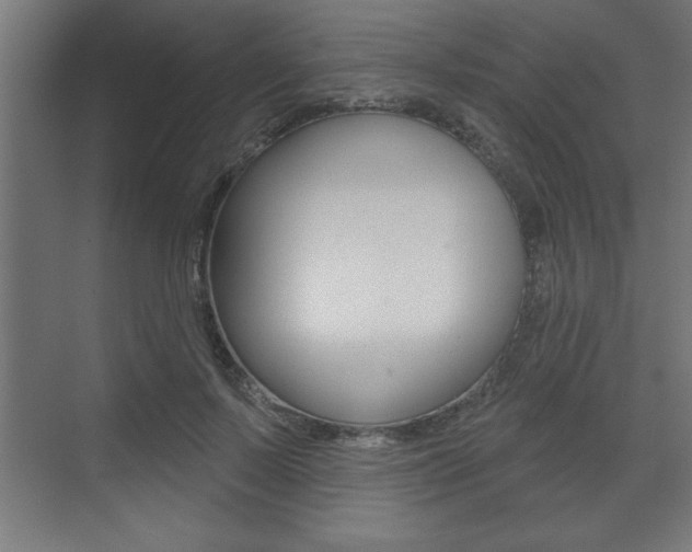 X0000073480695200607310851