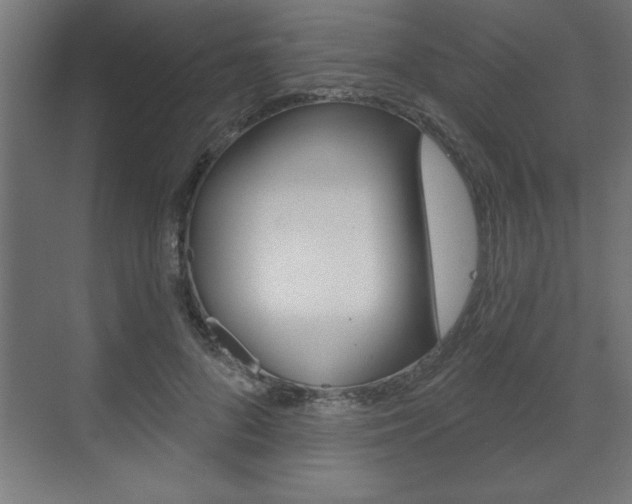 X0000073480696200607310851