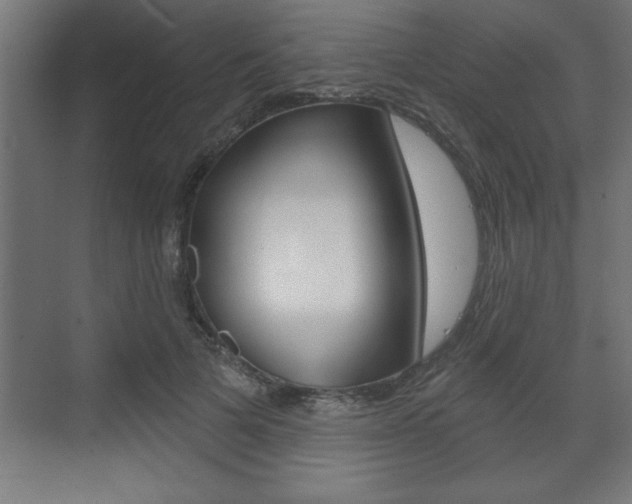 X0000073480697200607310851