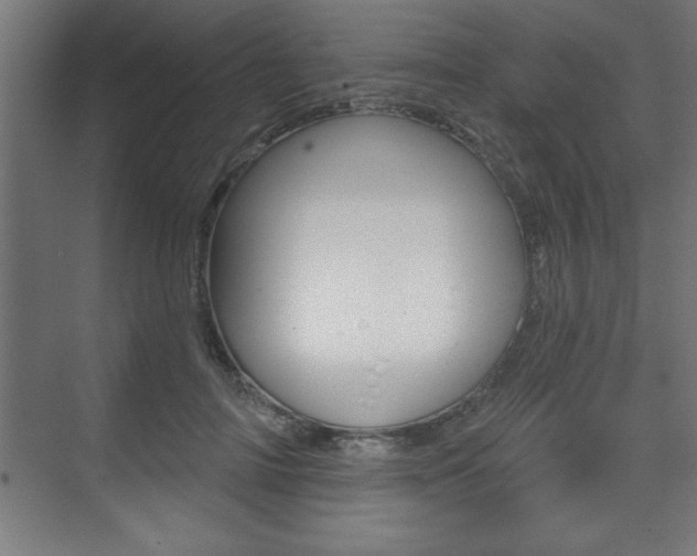 X0000073480698200607310851