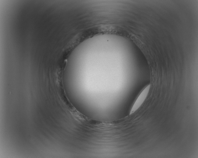 X0000073480712200607310851