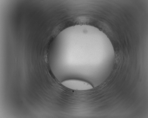 X0000073480718200607310851