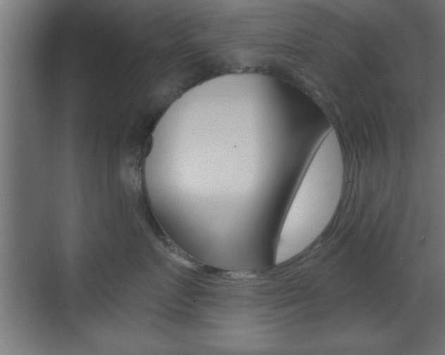 X0000073480719200607310851