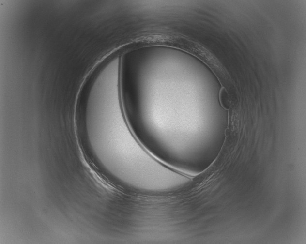 X0000073480722200607310850