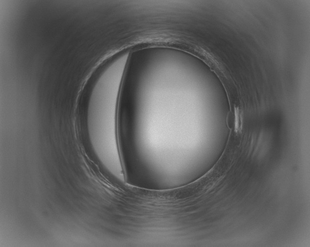 X0000073480723200607310850