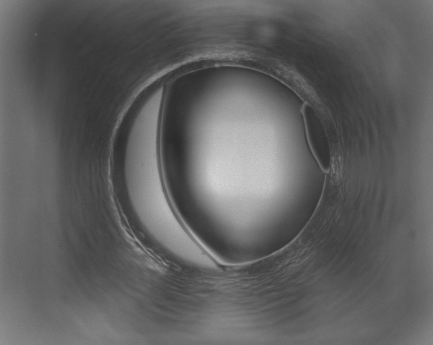 X0000073480724200607310850