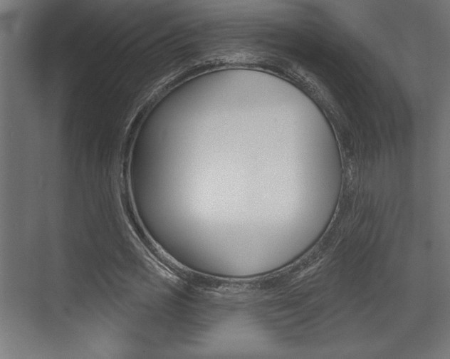 X0000073480725200607310850