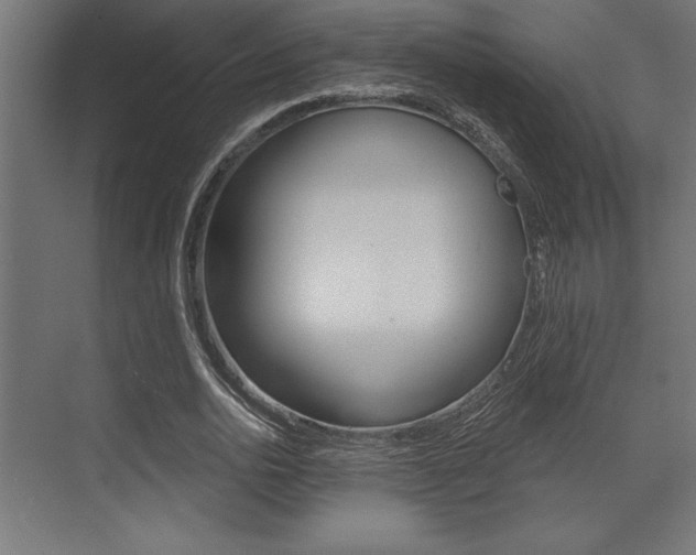 X0000073480726200607310850