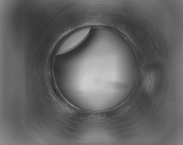 X0000073480727200607310850