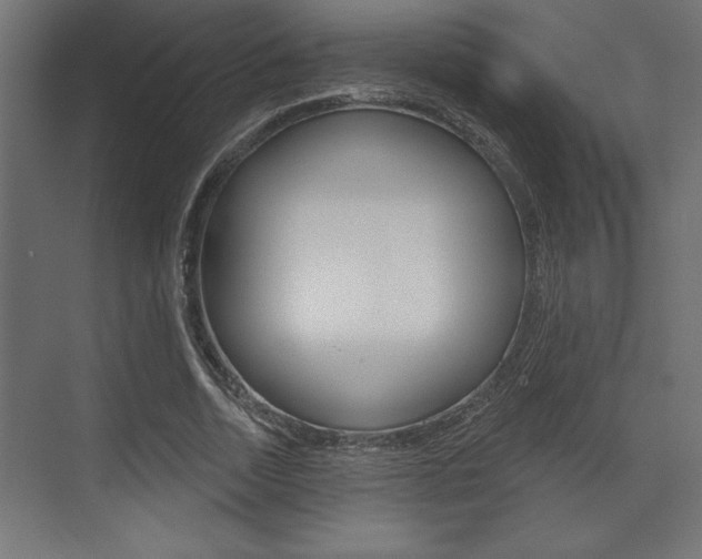 X0000073480730200607310850