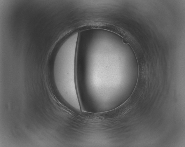 X0000073480731200607310850