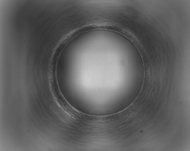 X0000073480732200607310850