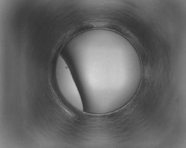 X0000073480733200607310850