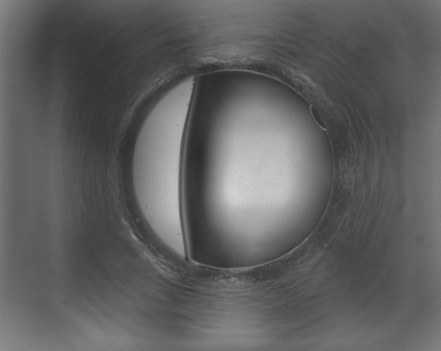 X0000073480735200607310850