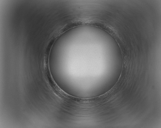 X0000073480740200607310850