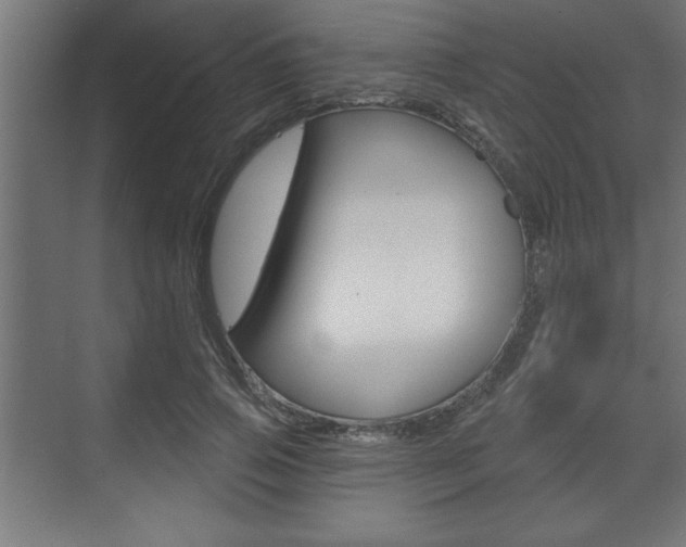 X0000073480741200607310850