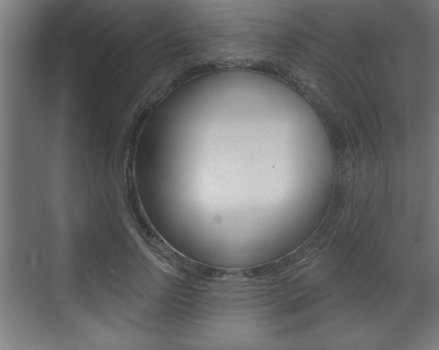 X0000073480742200607310850