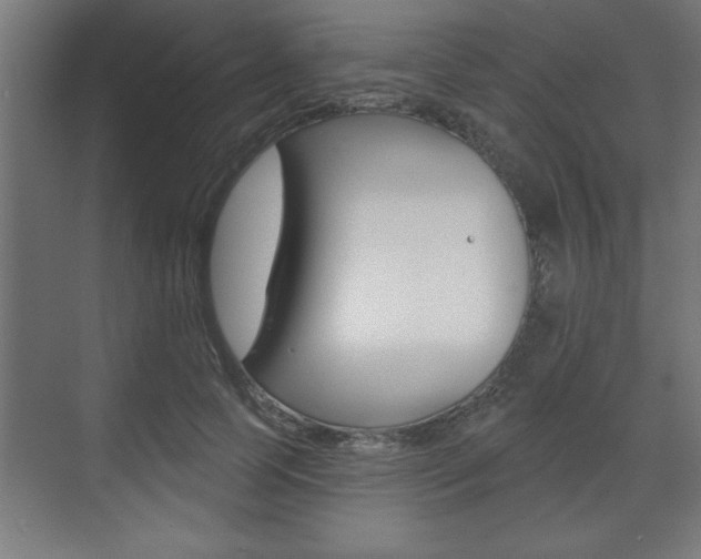 X0000073480745200607310850