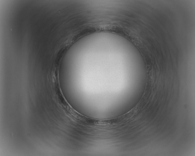 X0000073480746200607310850