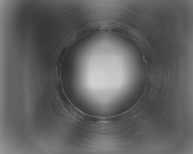 X0000073480748200607310850