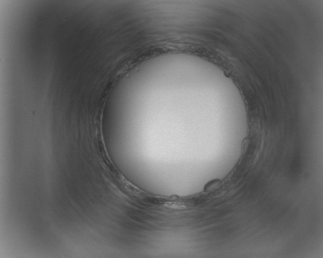 X0000073480749200607310850