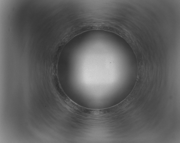 X0000073480750200607310850